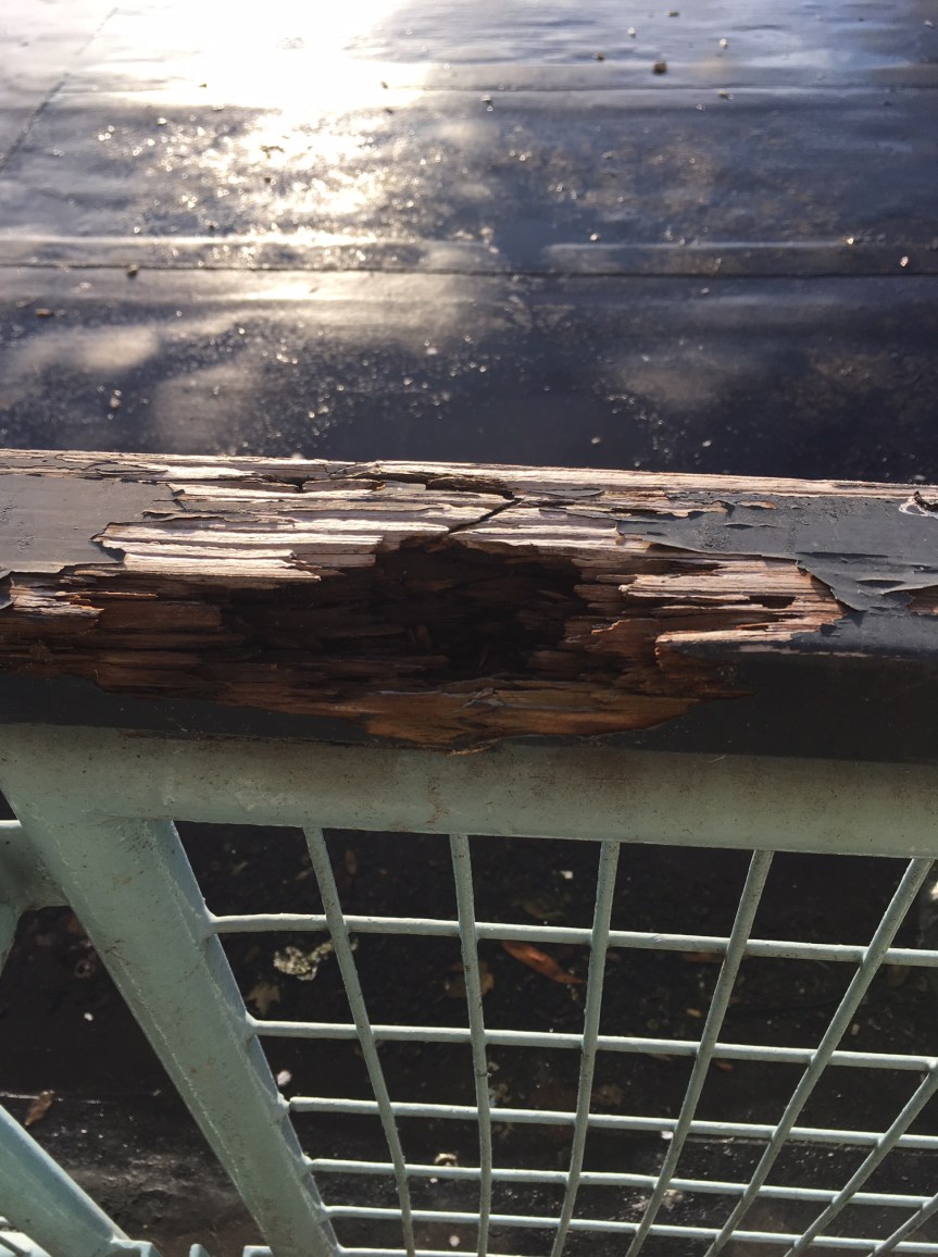 RAB stelt vragen over Rotterdamse&nbsp;Woonvisie